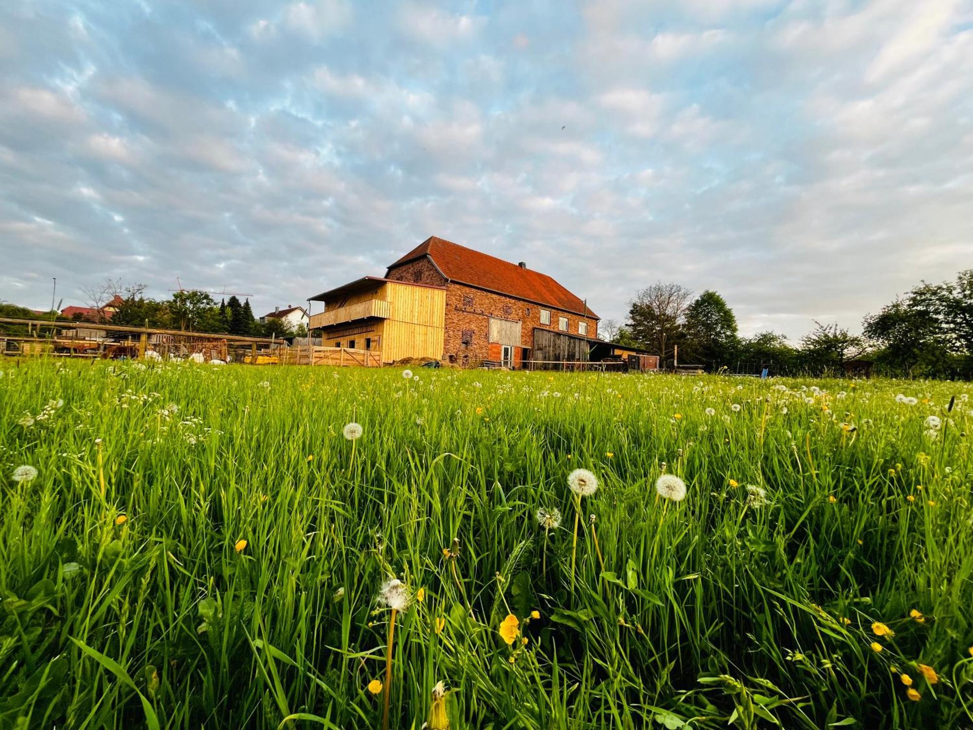Ferienwohnung Peters Huenfeld Luaran gambar